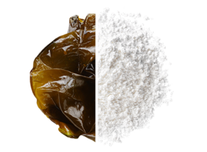 Algae - highly functional by nature