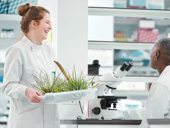 Learning from nature to transfer knowledge.