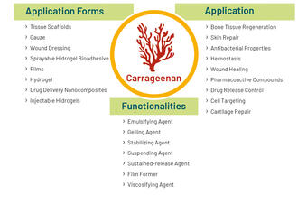 Summary of carrageenan benefits in medical devices. (3)