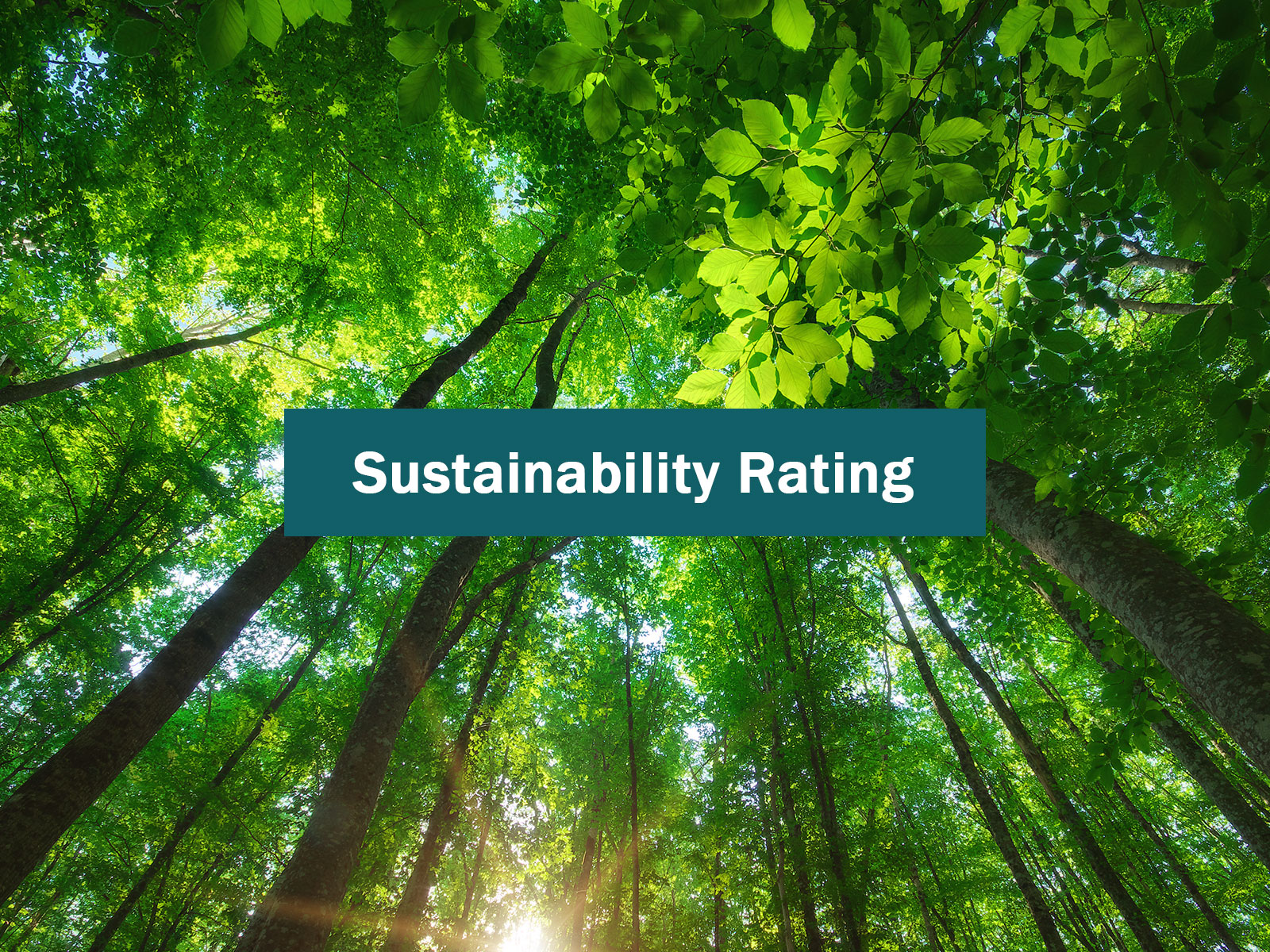 Improved in the Ecovadis Rating 2025