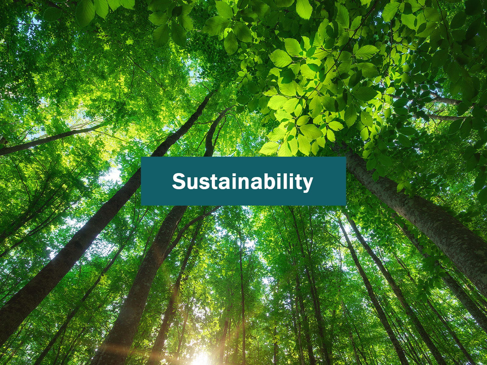 JRS Integrates "Sustainability Management" Organizational Unit and Completes EcoVadis Rating