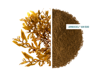 ARBOCEL® AN 500