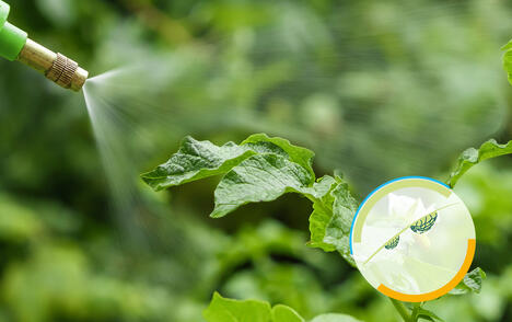 Improving sprayability by replacing Xanthan