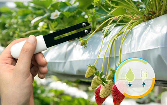 Moisture Management, Drying Processes