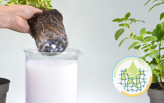 Water Retention