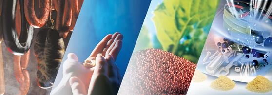 Ideal disintegration or decomposition properties with JRS ARBOCEL