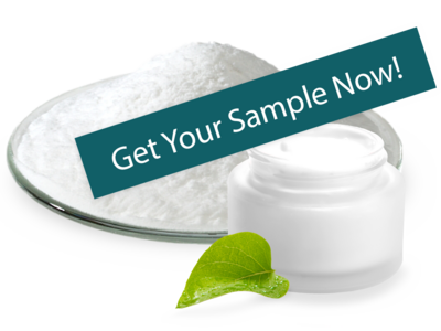 Get Your Sample Now!